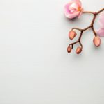 Heather Edwards Psychotherapy in New York Oasis