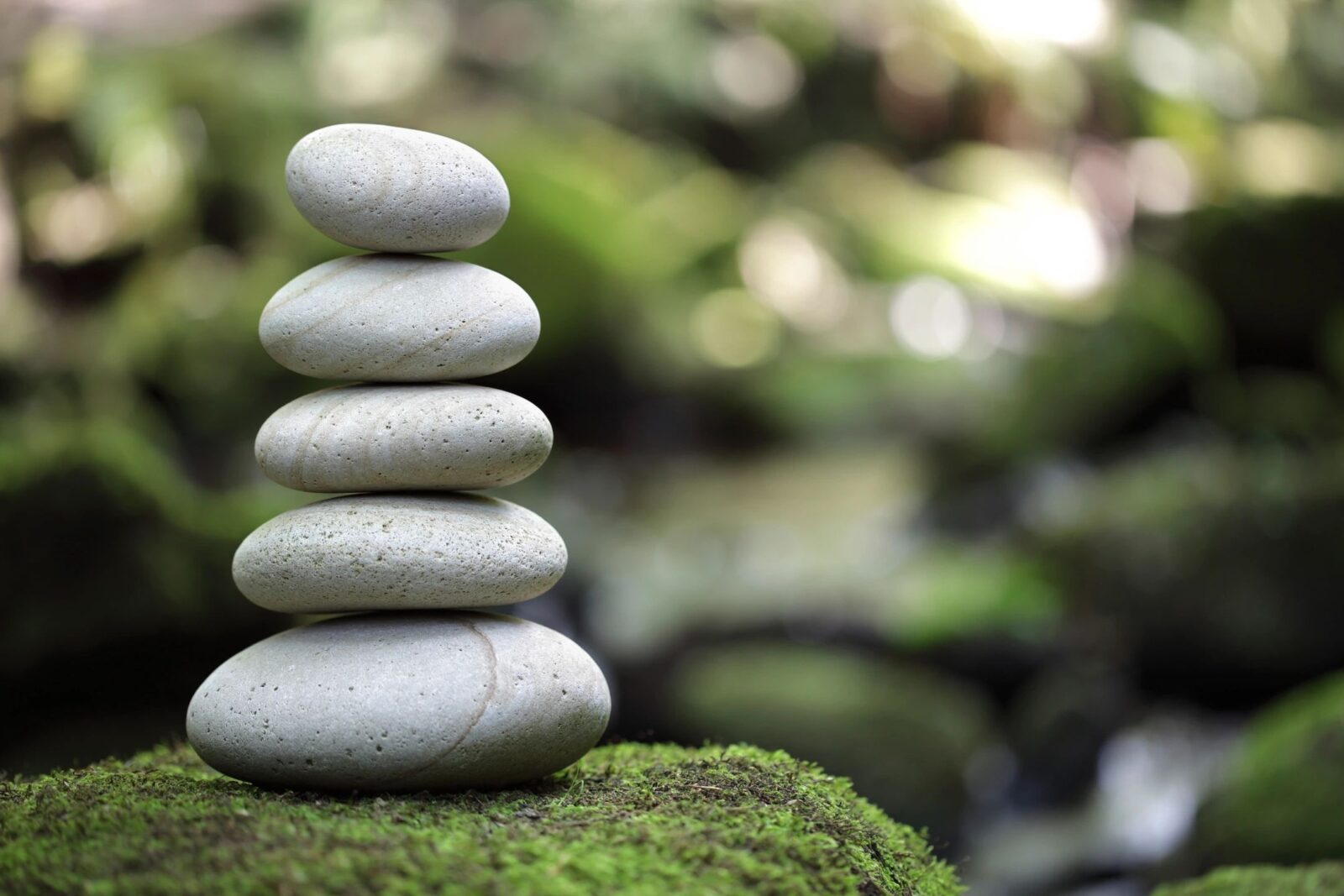 Heather Edwards Psychotherapy in New York