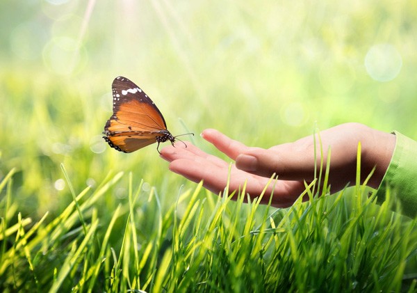 EMDR Psychotherapy