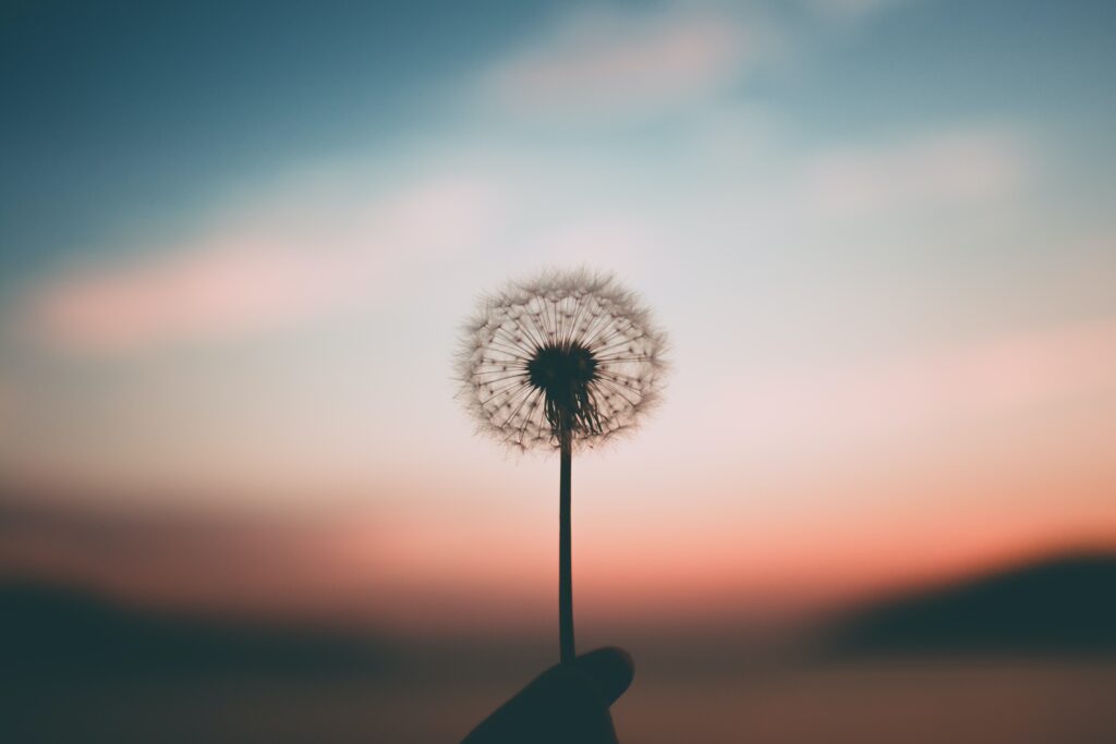 pandemic trauma emdr therapy